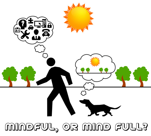 Mindfulness – Let the E-GO and Use Your Intuition